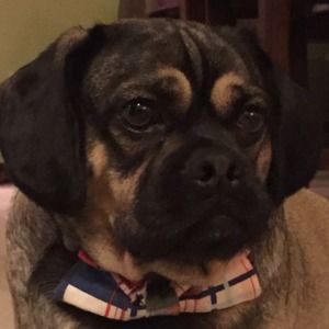 Meet your Posher, Brian